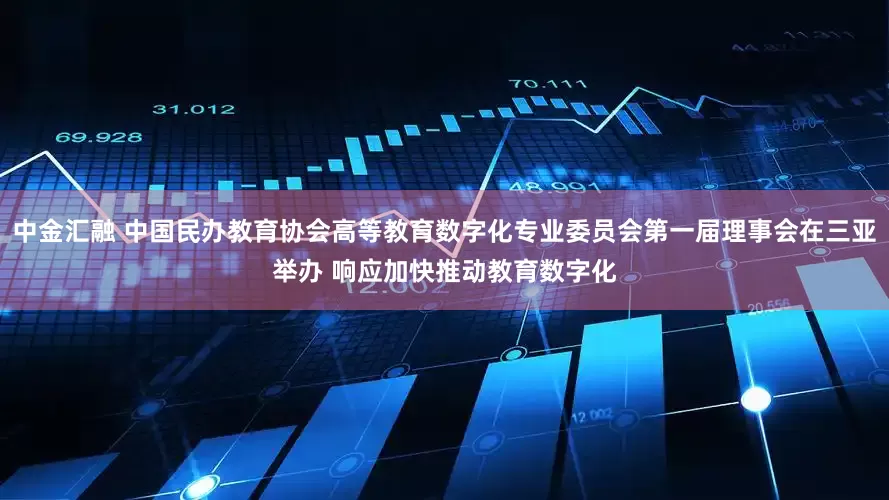 中金汇融 中国民办教育协会高等教育数字化专业委员会第一届理事会在三亚举办 响应加快推动教育数字化