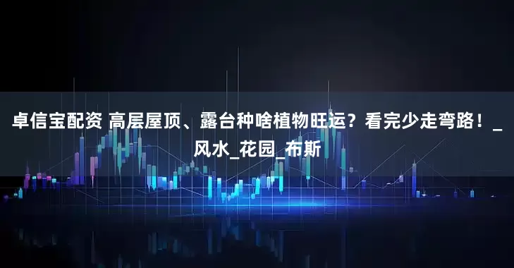 卓信宝配资 高层屋顶、露台种啥植物旺运？看完少走弯路！_风水_花园_布斯