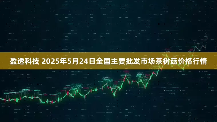 盈透科技 2025年5月24日全国主要批发市场茶树菇价格行情