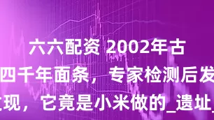 六六配资 2002年古墓出土一碗四千年面条，专家检测后发现，它竟是小米做的_遗址_蔡林海_考古