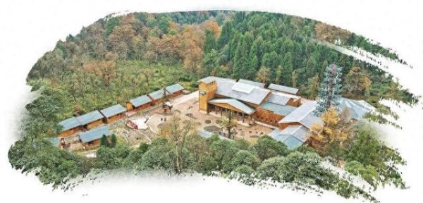 奕道配资 科技守护国宝：大熊猫科研保护进入智能时代