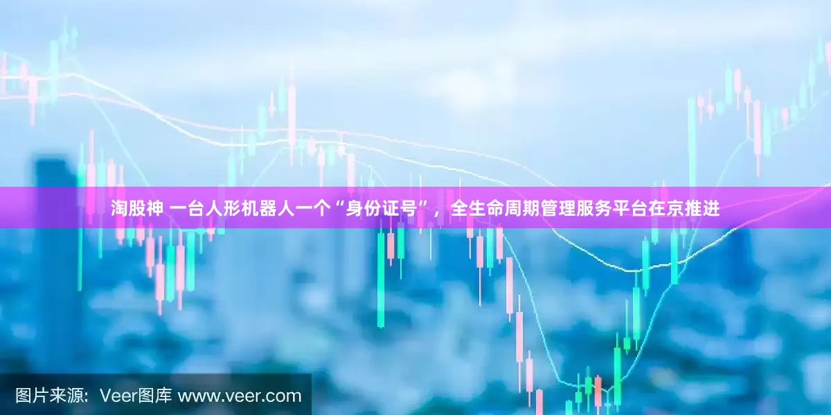 淘股神 一台人形机器人一个“身份证号”，全生命周期管理服务平台在京推进